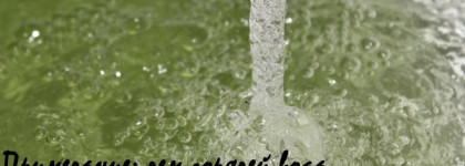 Дух праздника крадется незаметно с Бомбой для ванны от Lush Золотое чудо