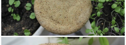 Красота темных волос с твердым шампунем от Lush Кофе и хна