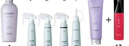 Часть 3: Lebel "Абсолютное счастье для ваших волос" - разделяй и властвуй