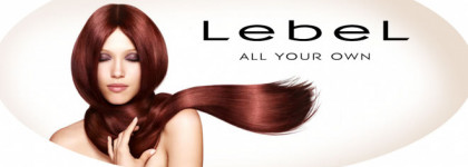 Часть 3: Lebel "Абсолютное счастье для ваших волос" - разделяй и властвуй