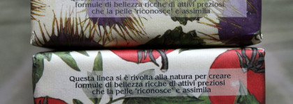 Подробный отзыв на овощное мыло итальянской фирмы Nesti Dante – Томат и Артишок