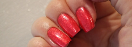 Майское настроение с красавчиком от El Corazon