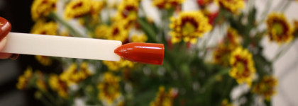 Слишком осенний Essie Playing Koi