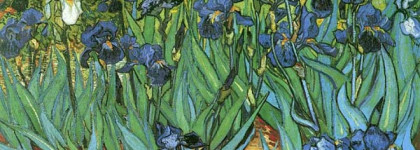 История одной любви - Notre Flore Iris L`occitane en Provence, eau de parfum