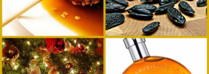 Праздник к нам приходит!  Волшебная вода Elixir des Merveilles Hermes eau de parfum