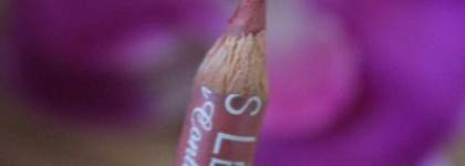 Vivienne Sabo Lipliner Карандаш для губ "Jolies Levres", тон №204, 0,9 г