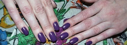 Благородный голландец «Dutch’Ya Just Love Opi?»