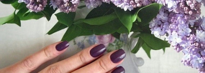 Благородный голландец «Dutch’Ya Just Love Opi?»