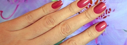 Step in Style Color #26