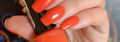 Супер-цитрус Envy #1908