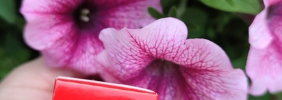 Хочу/могу: Блестящие перспективы с Dior и Pupa