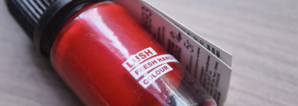 Lush lipstick Decisive