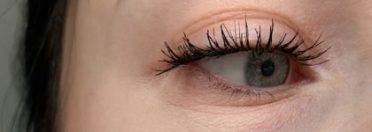 Легендарная тушь L'oreal Paris "Telescopic" mascara черная
