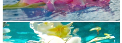 Zarkoperfume "The Muse". Моя муза чистоты и прохлады