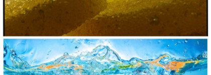 Горький цитрус в сахарной пудре: Al Rayhan Attar Collection eau de parfum