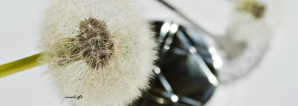 Ностальгия о лете. Diorskin Nude Shimmer Instant Illuminating Powder 001 with kabuki brush