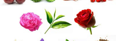 Капелька лета зимним днем с Guerlain La Petite Robe Noire, edp