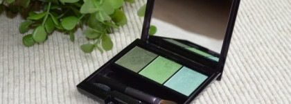 Shiseido Luminizing Satin Eye Color Trio, #GR 305 Jungle