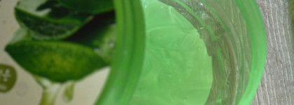 Корейские гели алоэ: Holika Holika против The Face Shop