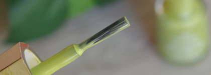 Фисташковое настроение. Лак для ногтей Mavala Nail Color Cream в оттенке #183 Pistachio