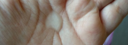 Молоко и мед для волос с Garnier Botanic Therapy Honey Treasures Royal Jelly & Honey Propolis Shampoo