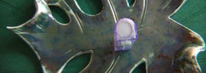 Моя любовь и спасение — блески для губ Belweder