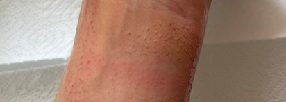 Гидрофильное масло на основе цветочных ферментов - Whamisa organic flowers cleansing oil