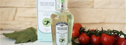 Ароматы природы от Брокард