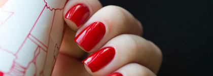 Golden Rose – Rich color № 11