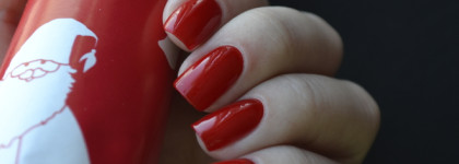 Golden Rose – Rich color № 11