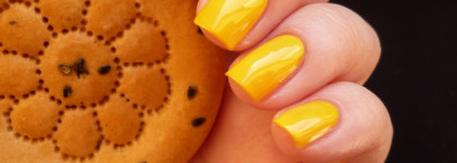 Солнечный Golden Rose – Rich color № 48