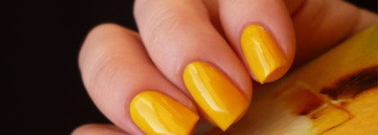 Солнечный Golden Rose – Rich color № 48