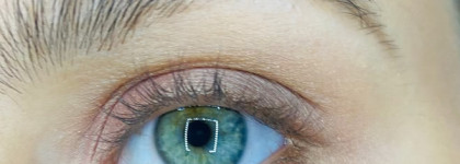 Maybelline Lash Sensational Lash multiplying mascara black