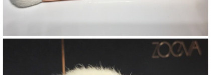 Мои кисти Zoeva