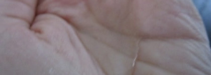 Битва клинсеров: Sukin Foaming Facial Cleanser vs Lacura Organic Argan Oil For Nourishment Facial Cleansing Mousse