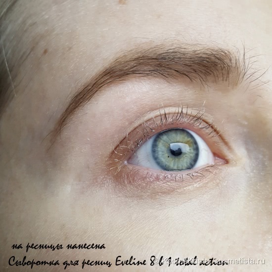 Сыворотка для ресниц Eveline 8 в 1 total action. И сравнение с более дорогим праймером Smashbox Photo Finish Lash Primer