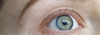 Сыворотка для ресниц Eveline 8 в 1 total action. И сравнение с более дорогим праймером Smashbox Photo Finish Lash Primer