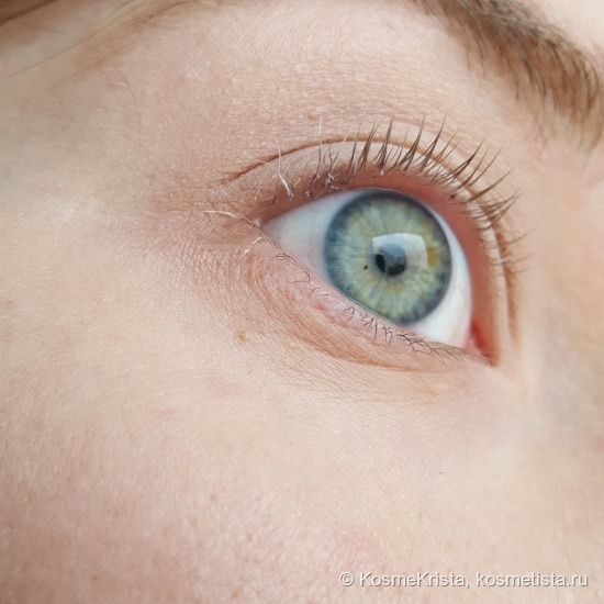 Сыворотка для ресниц Eveline 8 в 1 total action. И сравнение с более дорогим праймером Smashbox Photo Finish Lash Primer
