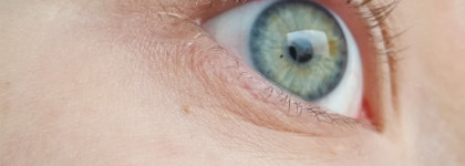 Сыворотка для ресниц Eveline 8 в 1 total action. И сравнение с более дорогим праймером Smashbox Photo Finish Lash Primer
