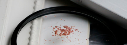 Loose Pigment, Eyeshadow Mono и Pigment Transformer от Sleek