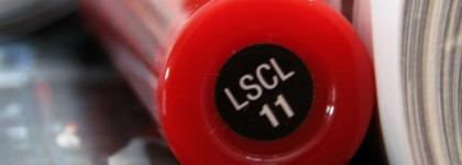 Как приручить дракона. NYX Liquid Suede cream lipstick в оттенке Vintage и Kitten Heels