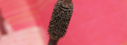 Тушь и ничего лишнего. Sephora Full Action Extreme Effect Mascara brown