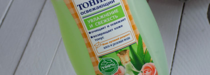 Бюджетно не значит плохо. Сто рецептов красоты Тоник освежающий "Увлажнение и свежесть"