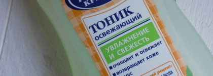 Бюджетно не значит плохо. Сто рецептов красоты Тоник освежающий "Увлажнение и свежесть"