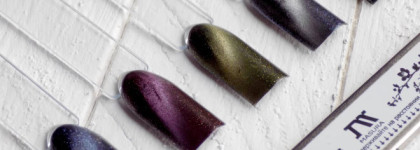 Магнитное чудо от компании Masura. Коллекция "Магнитный градиент"