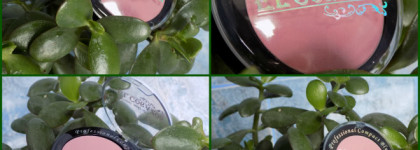 El Corazon Professional Compact Blush #07