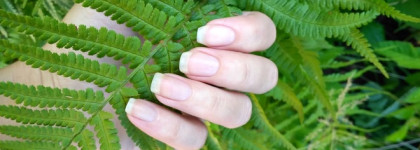 DNC Nail Nut Oil Ореховое масло для ногтей Укрепляющее
