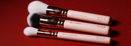 Моё знакомство с Zoeva