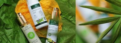 Удачное знакомство с AlpStories