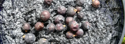 Антицеллюлитный био-скраб для тела на основе тувинской черной грязи озера Дус-Холь и ягод можжевельника из серии Tuva Siberica